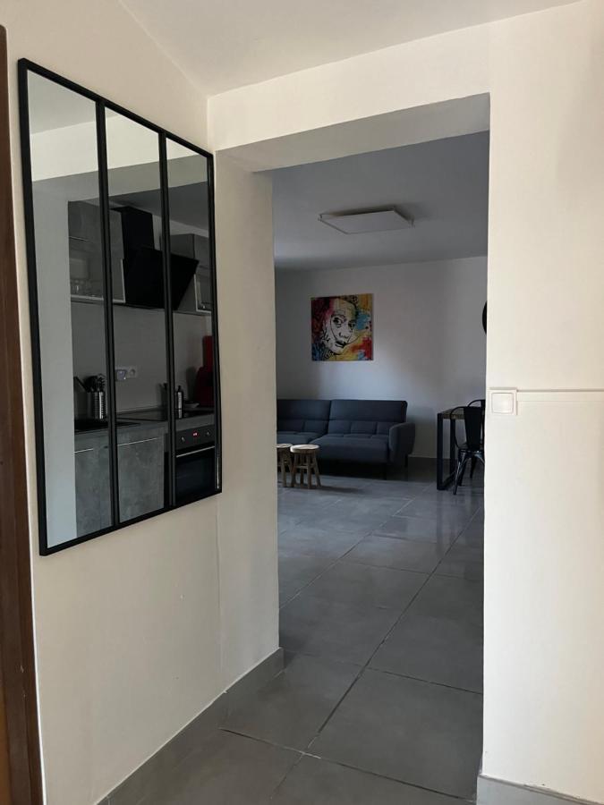 Charmant Appartement Climatise Quartier Las Cobas ペルピニャン エクステリア 写真