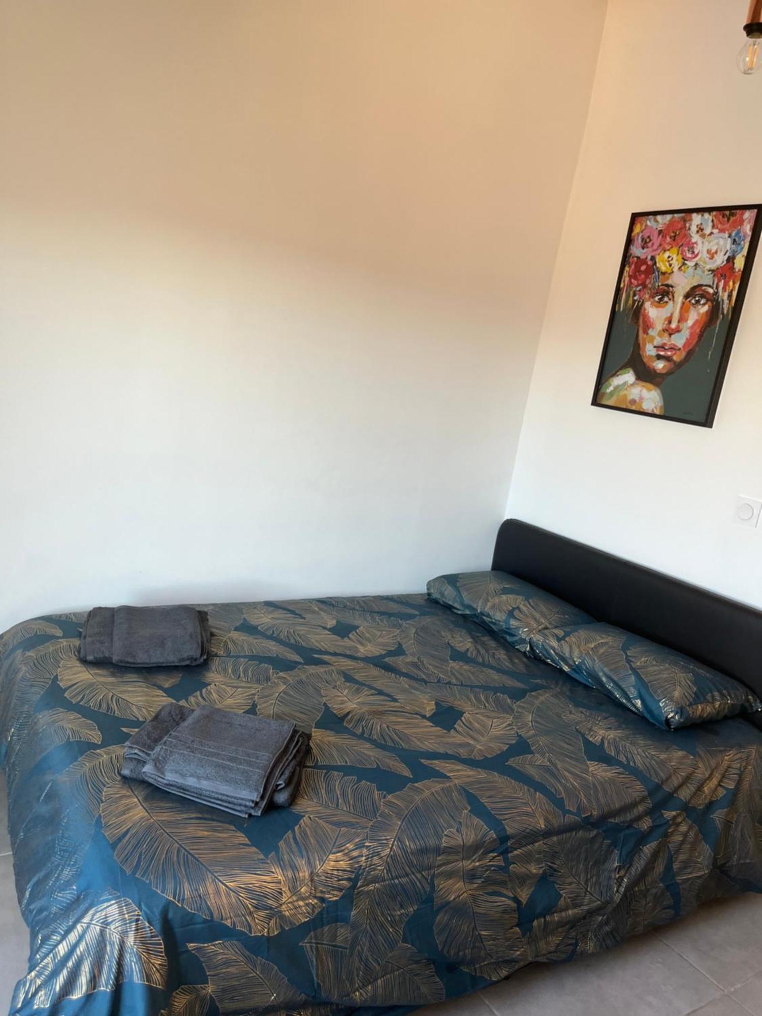 Charmant Appartement Climatise Quartier Las Cobas ペルピニャン エクステリア 写真