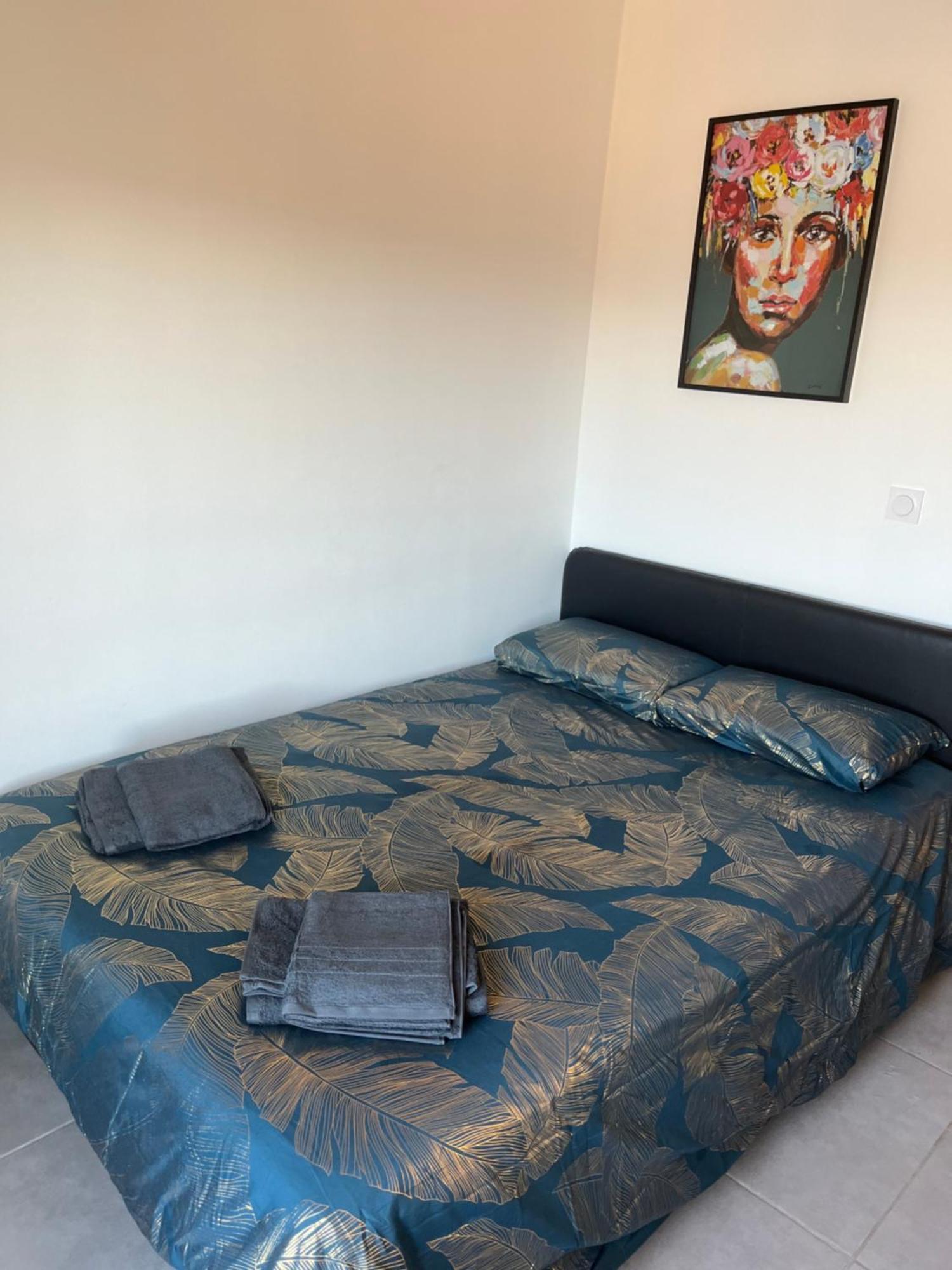 Charmant Appartement Climatise Quartier Las Cobas ペルピニャン エクステリア 写真